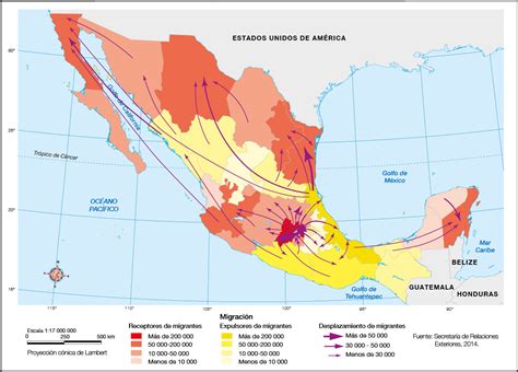 Get Mapa Conceptual De La Migracion Png Nietma