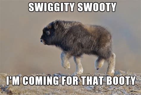 Swiggity Swooty Funny