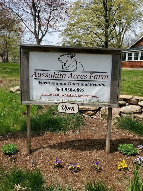 Ct Farm Visited By Kevin Bacon Goes Viral For The Second Time