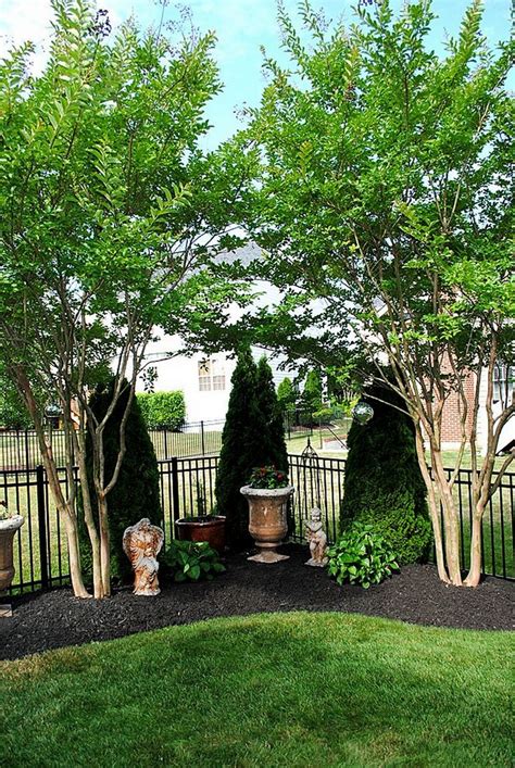 30 Big Tips And Ideas To Create Backyard Privacy Landscaping