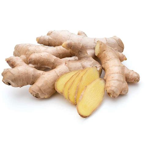 purchase ginger extract 5 gingerols in bulk initialnaturals