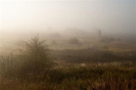 Early Morning In The Field With Autumn Fog And Drops Of Water In The