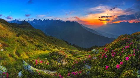 Nature Landscape Tyrol Sunrise Mountain Austria Wildflowers Sky