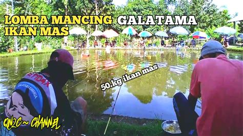 Galatama Ikan Mas Manado Mancing Ikan Mas Kg Youtube