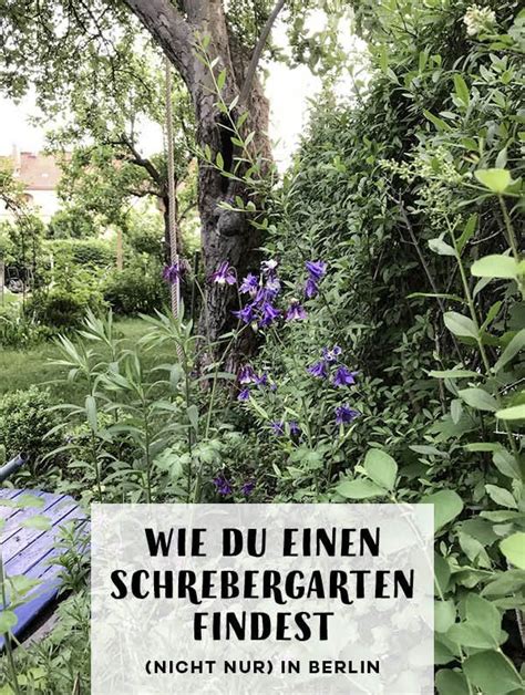 Gärten bieten erholung im grünen, fernab vom lärm der großstadt. Tipps, Ideen und Inspiration, wenn Du einen Schrebergarten ...