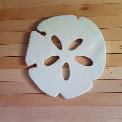 18 X 18 White Sand Dollar Sand Dollar Wall Art Etsy