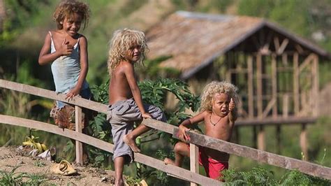 29 Best Photos Solomon Island Blonde Hair Minor Genetic Quirk Causes