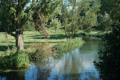 He is a man haunted by the murder victims whose cases he must lay to rest. River Coln - Wikipedia