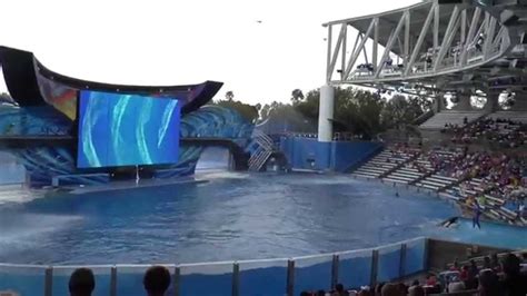 Hd1080 One Ocean Shamu Stadium Seaworld Orlando Florida 2013 Youtube