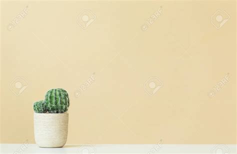 Cactus Minimal Hd Wallpaper Pastel Minimalist Wallpap