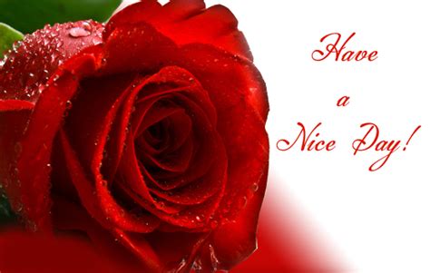 Have A Nice Day With This Rose Free Have A Great Day Ecards 123