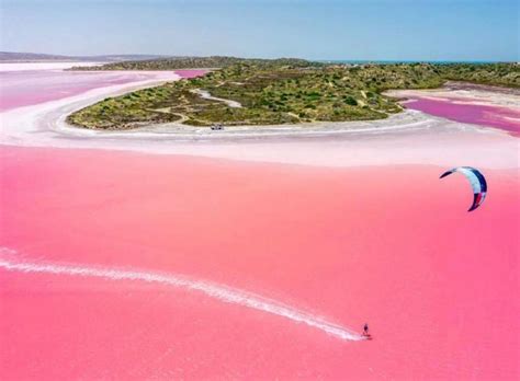 Pink Lake Hiller And Hutt Lagoon Everything You Need To Know