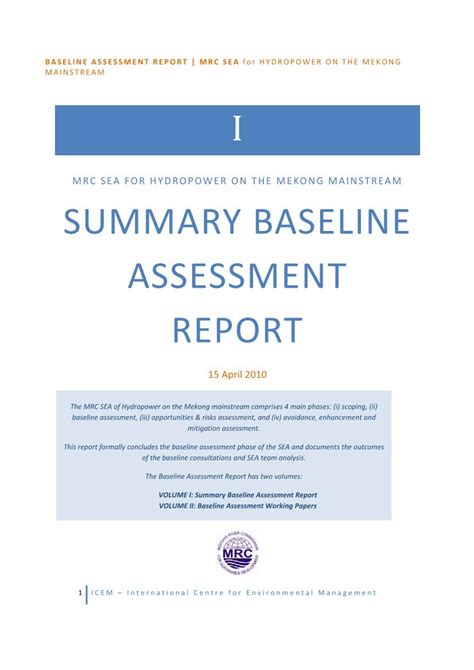 Summary Baseline Assessment Report Docslib
