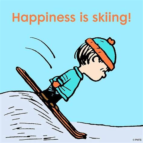 Humor Skifahren Karikatur
