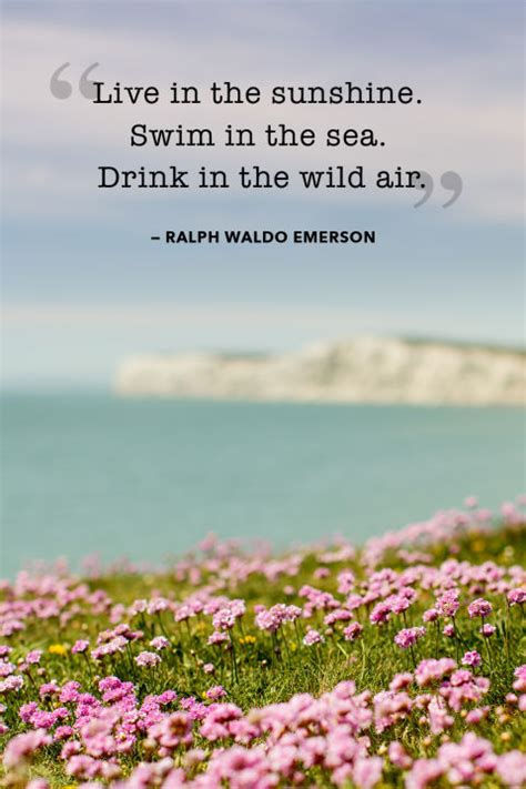 Buy live in the sunshine, swim the sea, drink the wild air, danny phillips art print, unframed, ralph waldo emerson quote, boardwalk beach coastal art decor, 8x10 inches: 20 Best Summer Quotes and Sayings - Inspirational Quotes ...