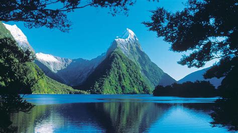 Fiordland National Park New Zealand Loner And