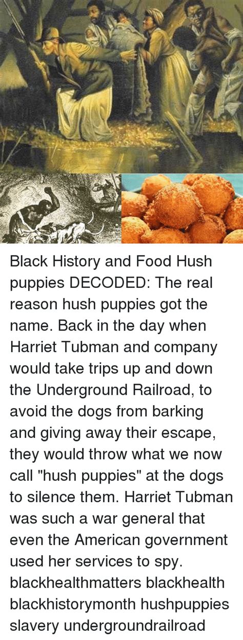 Originating in the american south, they are a wonderful accompaniment to most meals, specifically seafood. Ese Black History and Food Hush Puppies DECODED the Real ...