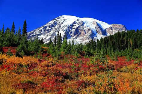 The 11 Best Places In Washington To See Brilliant Fall Colors Mount