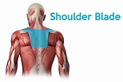 Shoulder Blade Pain - Fajar Magazine