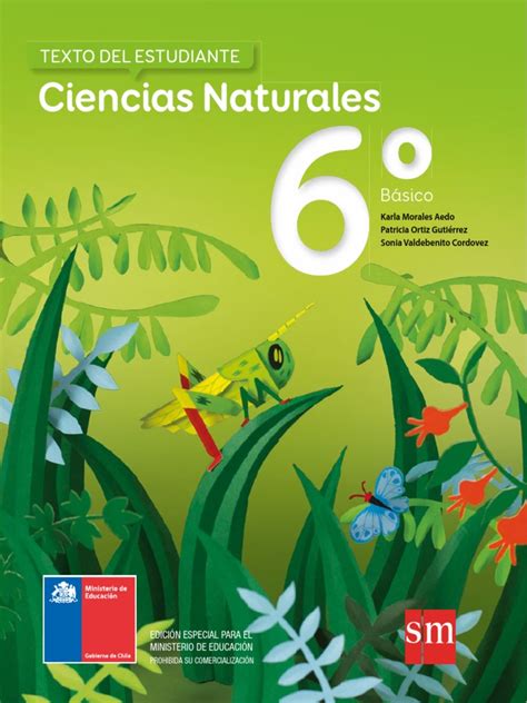 Libro de ciencias naturales de 6 sexto grado honduras en pdf. Ciencias Naturales Sexto Basico.pdf | Aprendizaje ...