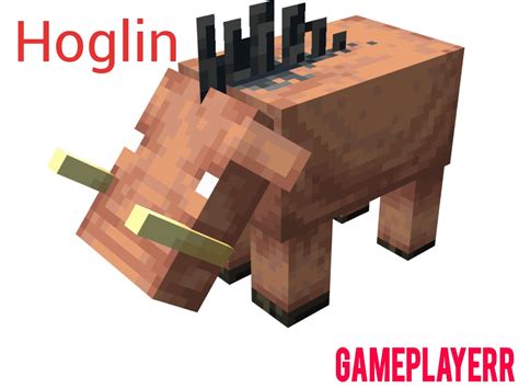 Hoglin In Minecraft How To Tame And Breed Gameplayerr
