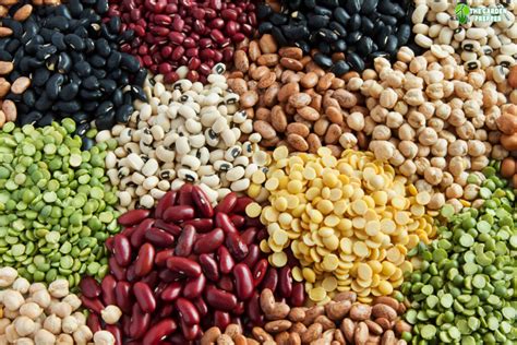 The Different Types Of Beans To Grow In Your Garden