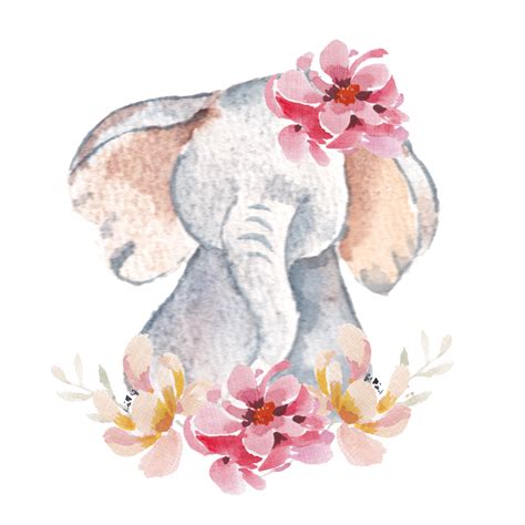 Cute Floral Elephant Watercolor Animal Cartoon Elephant Png