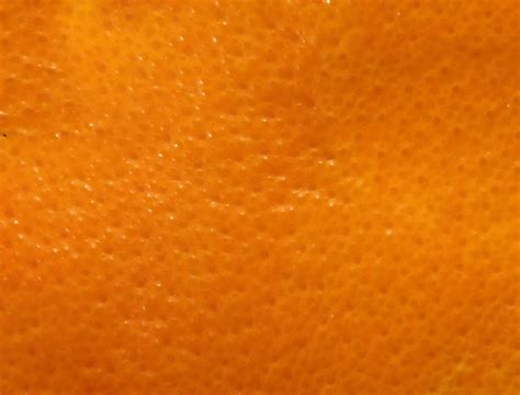 Fruit Orange By Alytre On Deviantart