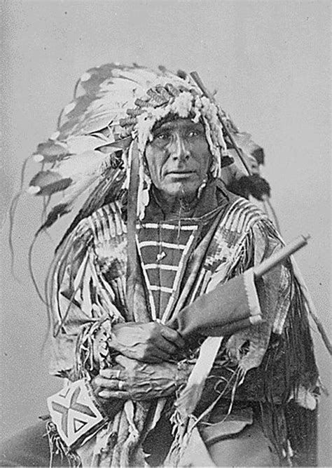 Afraid Of The Bear Yanktonai Sioux Nakota Native American