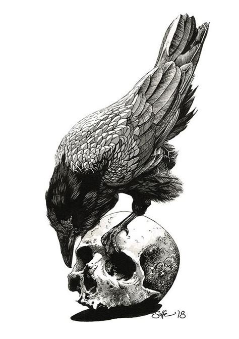 Raven And Skull Original Unique Ink Drawing Skull Tattoo Design