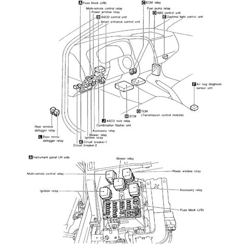 Honda chf50 scooter wiring diagram. 99 Kenworth Wiring Diagram - Wiring Diagram Networks