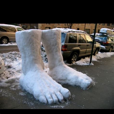 2 Foot Of Snow At The Curb Snow Pictures Funny Pictures Funny Pics