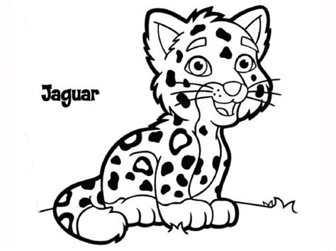 Baby Jaguar Coloring Pages Free