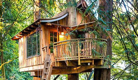 Pods instalados en un camping. Casa en el árbol: refugio de diversión para los más ...