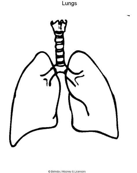 Printable Human Lungs Coloring Page Sexiz Pix