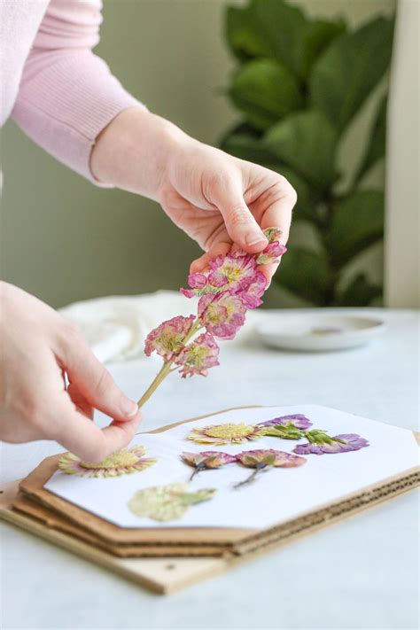 How To Press Flowers Make A Diy Flower Press Pressed Flowers Diy Pressed Flowers Diy Flowers