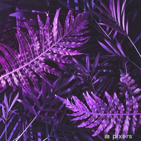 Fototapeta Kreatywny zwrotnik purpurowy układ liści. nadprzyrodzona ...