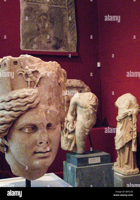Marble Busts Within The Archaeological Museum Sparta Greece Stock Photo Alamy