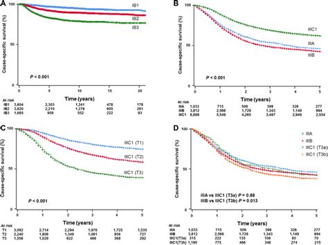 Information from exams and tests is used to determine the size of the tumor, how deeply the tumor has invaded tissues in and around the cervix. Validation of the 2018 FIGO cervical cancer staging system ...