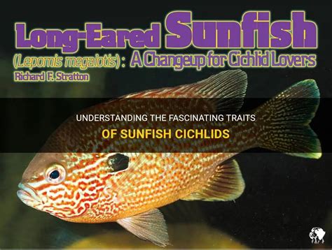 Understanding The Fascinating Traits Of Sunfish Cichlids Petshun