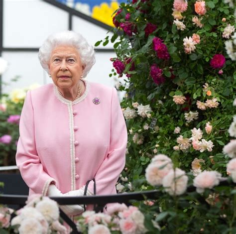Virtual Chelsea Flower Show 2020 Royals Reveal Favourite Flowers