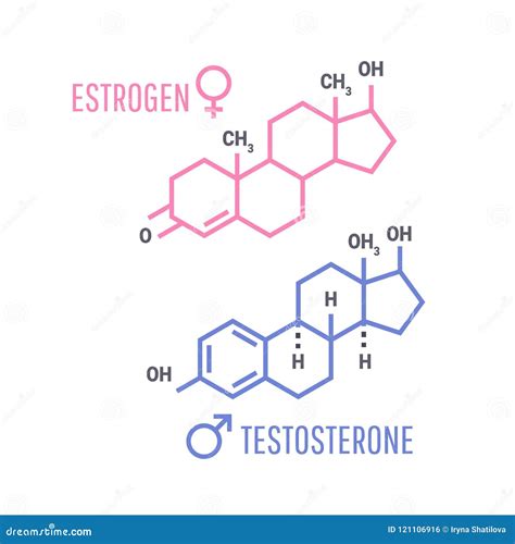 Símbolo De Las Hormonas Del Estrógeno Y De La Testosterona Ilustración Del Vector Ilustración