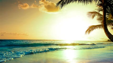 Tropical Paradise Vacation Sunset Hd Wallpaperjpeg Themes10win