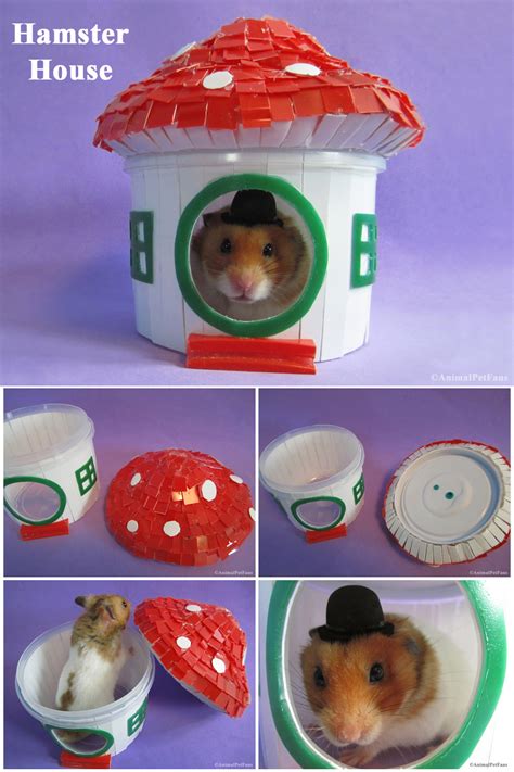 Animalpetfans Diy Hamster House