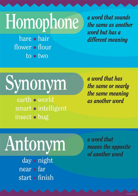 Grammar Poster Homophone Synonym Antonym Barker Creek Bc1804 Ebay