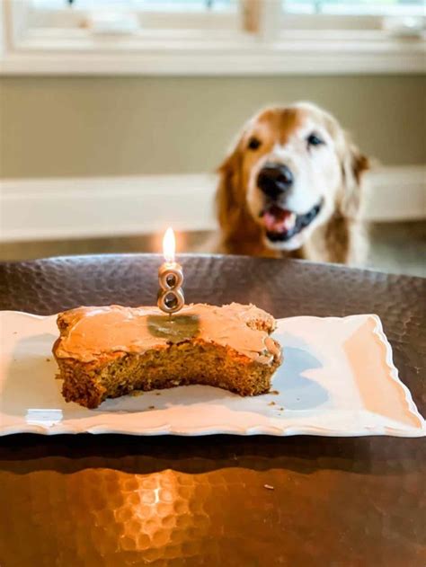 Dog Birthday Cake Brown Eyed Baker