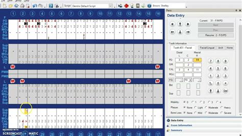 Bleeding On Probing In Dentrix Youtube