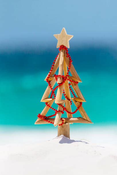 Christmas Tree On Beach Stock Photos Pictures And Royalty Free Images