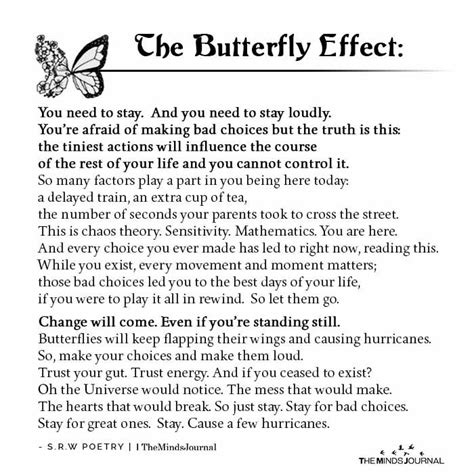 The Butterfly Effect You Need To Stay And You Need To Stay Loudly