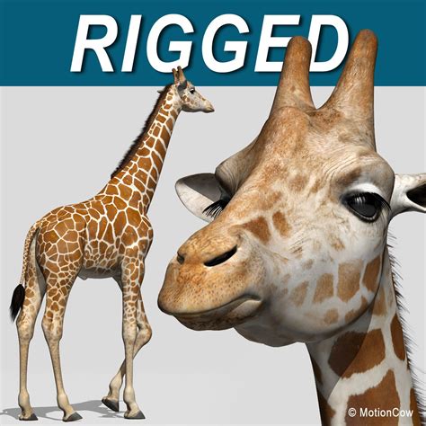 3d Realistic Rigged Animation Giraffe Vector Patterns Design 3d Model